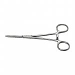 Ein allgemeines Bild