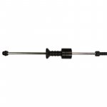 Ein allgemeines Bild