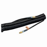 Ein allgemeines Bild