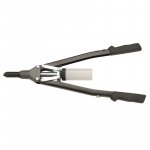 Ein allgemeines Bild