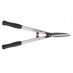 Ein allgemeines Bild