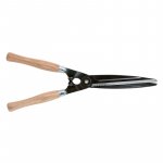 Ein allgemeines Bild