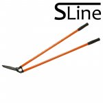 Ein allgemeines Bild