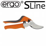 Ein allgemeines Bild