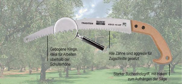 Astsägen, Holzgriff 01